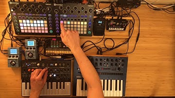 Korg NTS1, Monologue, Volca FM, Arturia MicroFreak, Novation Circuit, Solitude Jam
