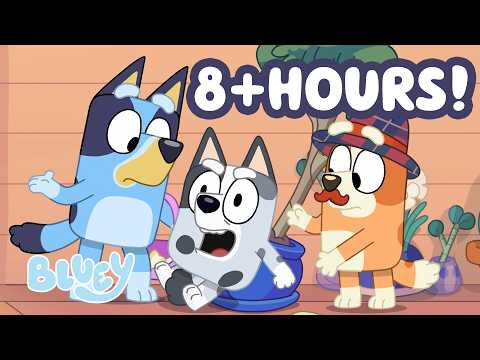 🔴LIVE: Muffin goes WILD at the Sleepover with Bluey and Bingo! 😮 💙 | FULL EPISODES | Bluey