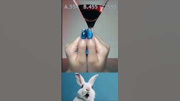 🍀 “Your lucky number is hidden here… can you spot it?” #shorts #bombastic #rabbit #video