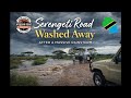 Flash Flood In Serengeti Safari Road Washed Away After Massive Rainstorm