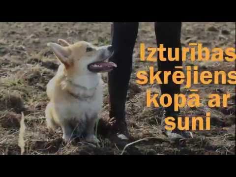 Video: Vai Suņi Var Sajust Bailes?