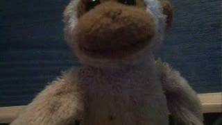 The Monkey Guru