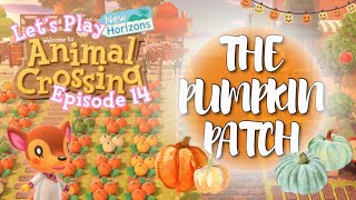 Animal Crossing: New Horizons // Let's Play ACNH: Episode 14 (Pumpkin Patch and Updates)