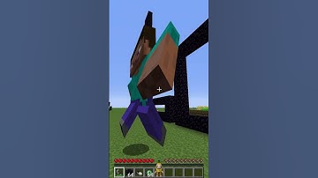 These cursed nether portals in Minecraft... (INSANE END) #shorts #meme #memes