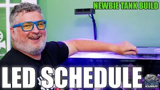 LED Lighting SCHEDULE for Saltwater Aquariums   Newbie Tank Build