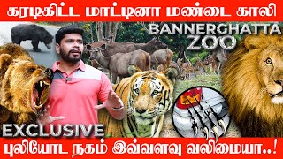 வாகனத்தை வழிமறிக்கும் காட்டு விலங்குகள்!Bannerghatta national park thrilling moments| full detailed