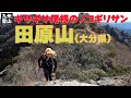 【九州の登山】 ギザギザの尾根! 通称ノコギリサンと呼ばれる田原山は本当に怖いのか? 2022.03.07
