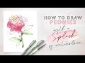How to Draw a Peony with a Splash of Watercolour
