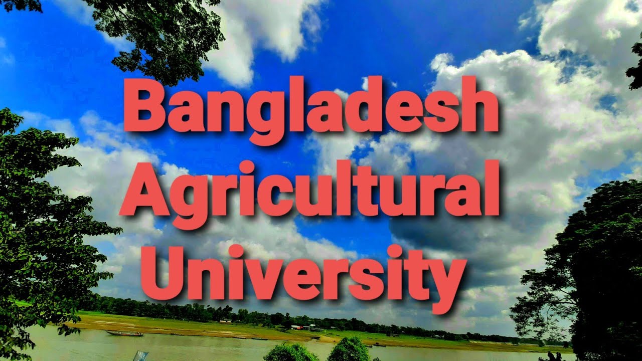 ms thesis of bangladesh agricultural university