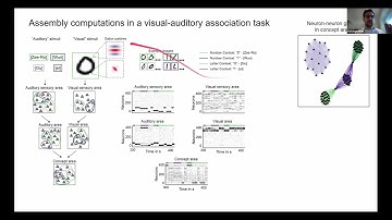 Christoph Miehl - Assembly-based computations through contextual dendritic gating of plasticity