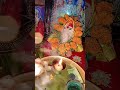 #ganeshchaturthi #ganesh Murti sthapna☺️#ganpati #trending #shorts #viralvideo #viral #youtubeshorts