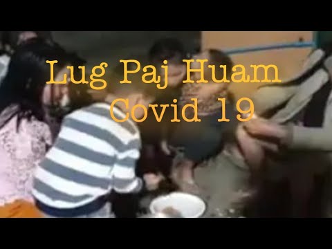 Lus Paj Huam Covid 19