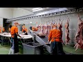 300 Pigs Suffer Misfortune Daily ! Taiwan's NO1 Pork Processing Factory / 豬肉加工廠 - Pork Dishes Making