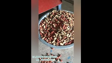 peanut shelling machine 100kg per hour cepisity GAJANAND INDUSTRIES ahemdabad mo.7016634150