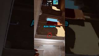 CS2 - NEW Ninja Molly Lineup on Anubis #cs2 #csgo #counterstrike #cs2clips #faceit