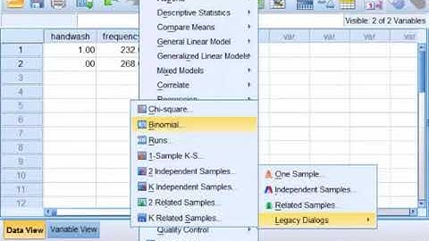 SPSS - Binomial Test for One Proportion using Weight Cases Option
