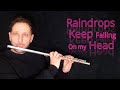 Raindrops keep falling on my head - (Flute Cover)