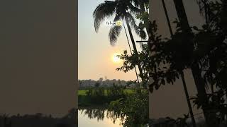 🤌🏻🥺#ytshortsvideo #nature #iphoneediting #subscribeme@Tandrahere978