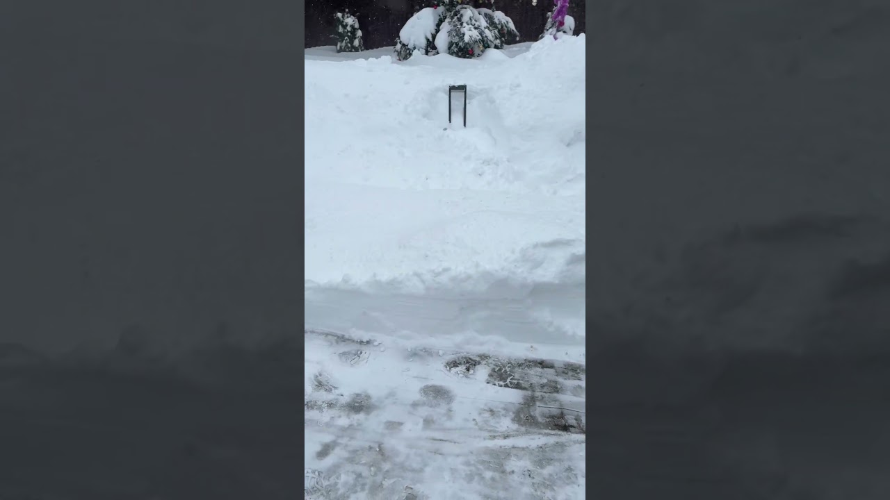 Snow wars 😂😂😂 