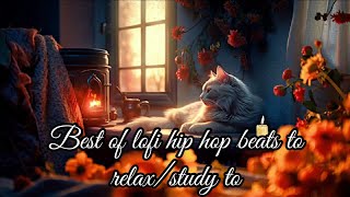 Best of lofi hip hop - 🎉 - beats to relax/study to by Lofi Babys 142 views 4 months ago 35 minutes