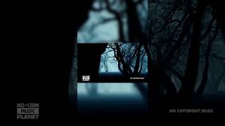 Footsteps in the Fog Won't Stop #HorrorMusic #SpookyAmbience #HalloweenKills