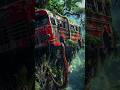 I Survived The Dark Forest 😱 #the #dark #forest  #facts #history #shorts #viral