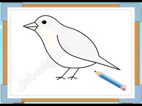 Bé Họa Sĩ - Thực Hành Vẽ 223: Vẽ Con Chim - Youtube