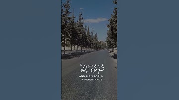 وإستغفروا ربكم #ياسر_الدوسري #تلاوة_خاشعة #راحة_نفسية #المصحف