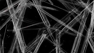 Recrystallization