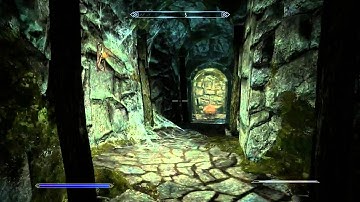 Skyrim- Character build: The Witchhunter