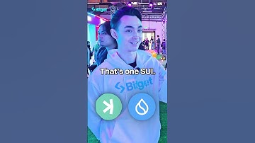 What do you think is the best crypto portfolio in 2024?