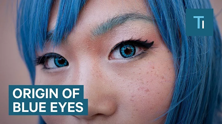 All Blue-Eyed People Have A Single Ancestor In Common - DayDayNews