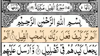 Surah Al-Fil سورة الفيل  | The Elephant : Sheik Okasha Kameny.