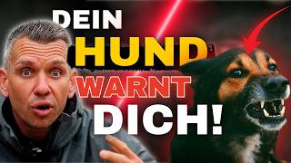 So VERSTEHST du deinen Hund richtig