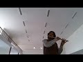 Rudali film song on flute by vishwanath pawaiya