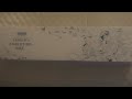 Digimon Card Game Tamer’s Evolution Box Opening
