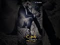 أجمل حلات واتس أب جاهد كايا 