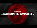 Карл Орф «Кармина Бурана» Государственная академическая симфоническая капелла России