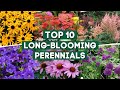 10 long blooming perennials for a colorful garden    plantdo home  garden 