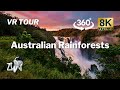 【360°VR】Skyrail Rainforest Cableway Canopy Glider experience  - Virtual Nature Relaxation 8K Video