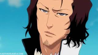 Bleach 221 the full showdown