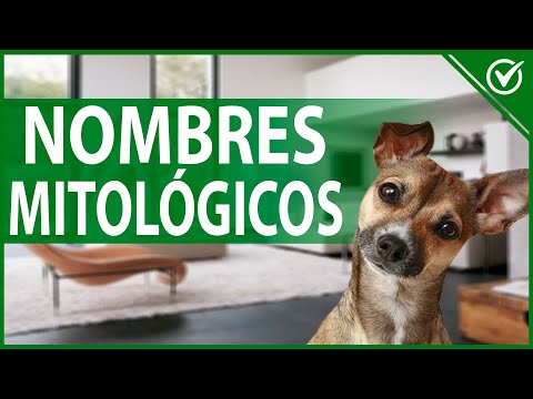 🐶 Nombres Mitológicos para Perros y Perras con Significado 🐶🏛 hqdefault