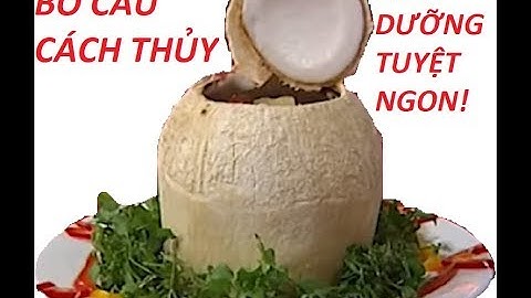 Cách làm Bồ Câu Cách Thủy | Bồ Câu Nấu Dừa| Dinh Dưỡng Cho Bé $ Người gầy ốm