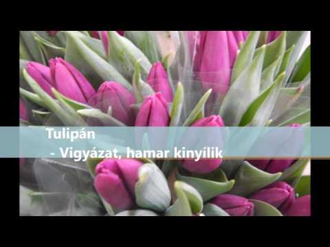 Videó: Milyen Virágokat Adjon A Feleségének