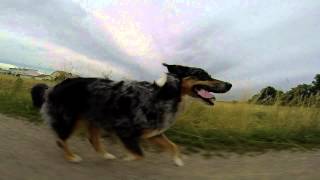 Sally spielt mit der Frisbee