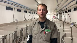 Why you want to raise your calves in a temperature controlled environment.
