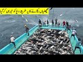 کیسے مچھلیاں اڑ اڑ کر خود ہی آرہی کمال طریقہ    Unique And Amazing Fishing Methods In World