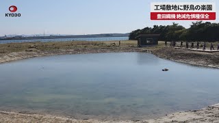 【速報】工場敷地に野鳥の楽園 豊田織機、絶滅危惧種保全