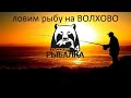 РУССКАЯ РЫБАЛКА 4. - смотрим на что клюет на ВОЛХОВО.