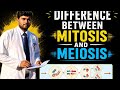 Diffrence between MITOSIS and MEIOSIS